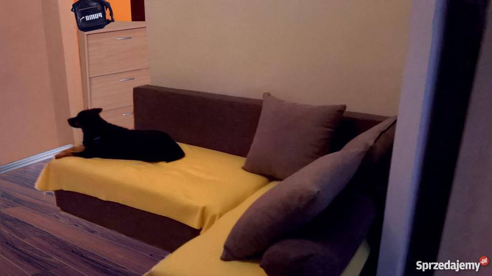 ZŁOTA RĄCZKA Tanio remonty elektryka hydraulika Remont i budowa Łódź usługi budowlane