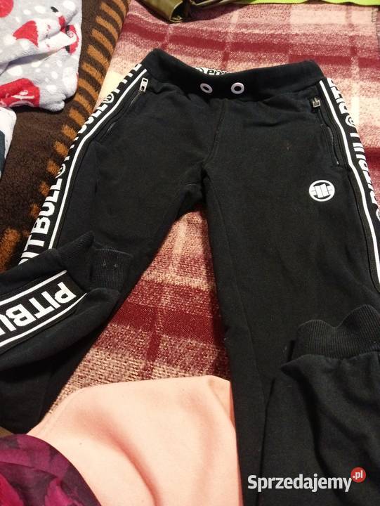 mam do sprzedania dresy damskie pidbula odbiór Bytów