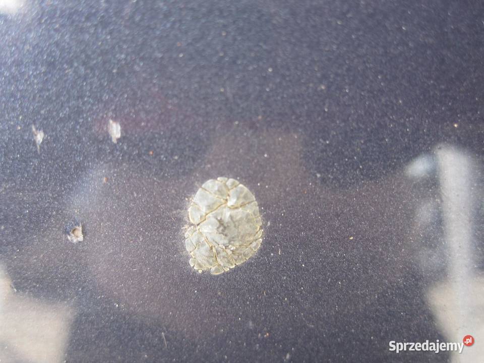 FORD MONDEO MK4 IV 10r maska sprzedam