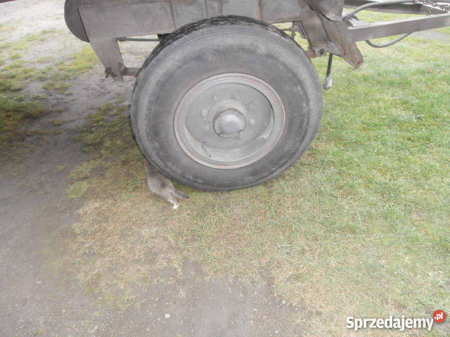 PRZYCZEPA 6 TON POLSKA D46 6000kg Olewin