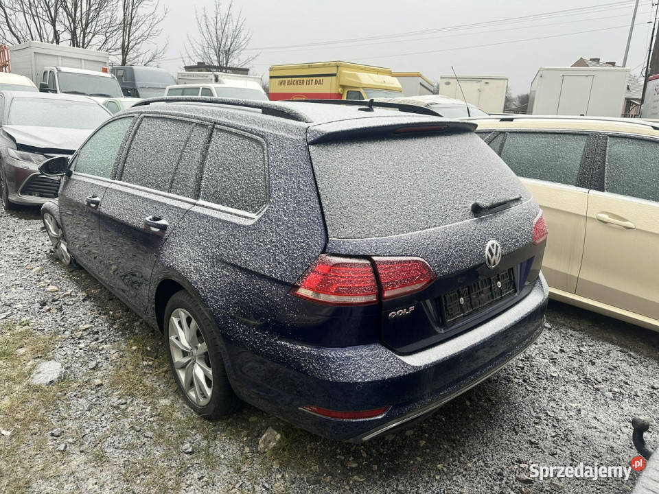 Volkswagen Golf Golf VII 20 TDI150 Klima Navi dolnośląskie Syców