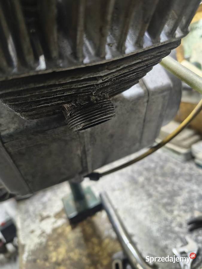 Silnik Romet Pegaz komar 010 automatic