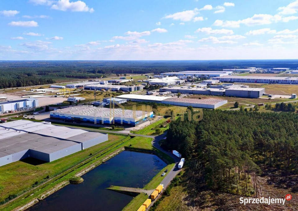 Działka przeznaczona pod produkcję magazyny Sprzedaż Łozienica