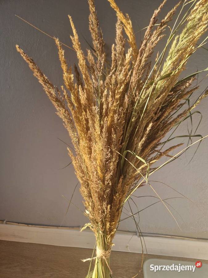 Dekoracje