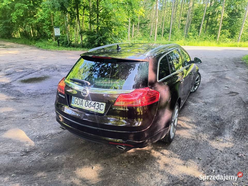 Opel Insignia A 20 CDTI 4x4 Automat pomorskie Sobowidz