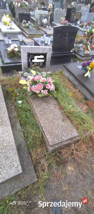 Miejsce na cmentarzu Katowice sprzedam