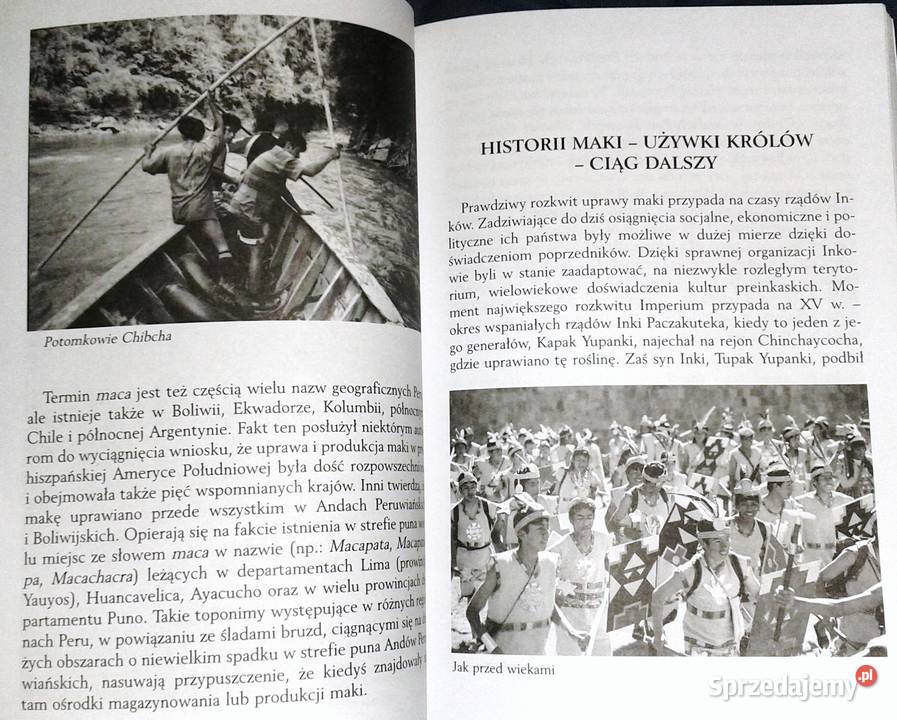 Maca siostra Vilcacory Marek Prusakowski Chełm