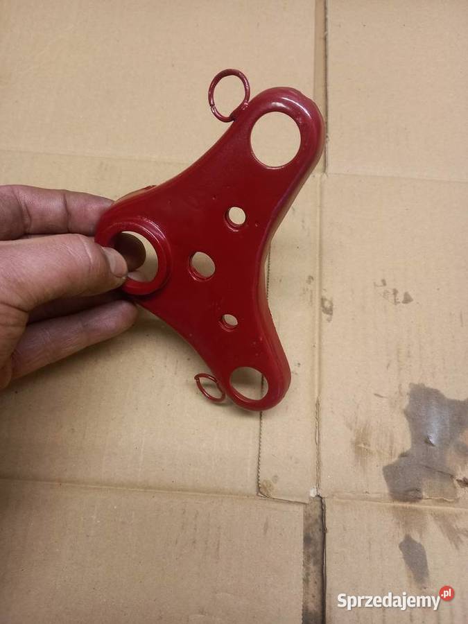 Polka zak rys Pozostałe Sokołów Podlaski