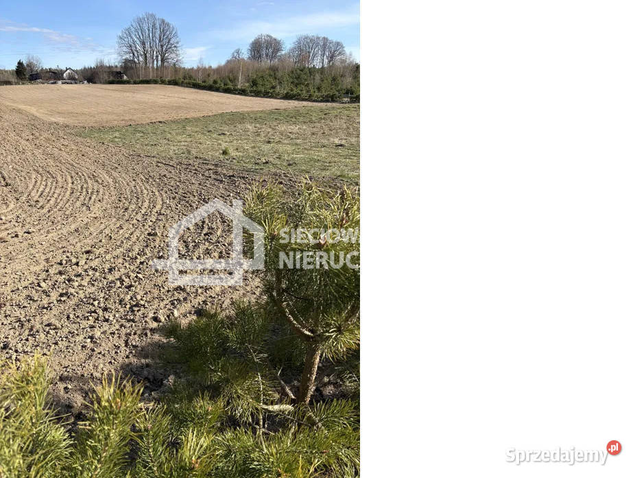 Grunt na sprzedaż Grabowiec 1009m2