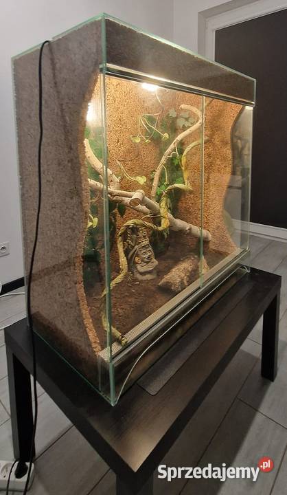 Sprzedam Terrarium szklane 80 396 85 2 lampy UVB pomorskie Gdańsk
