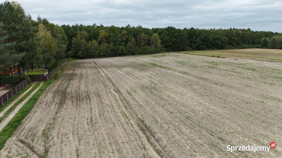 Pomiechówek Wymysły 4332m2 budowlana 38 do mazowieckie