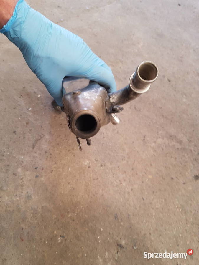 CITROEN 20 HDI FORD 20 TDCI CHLODNICZKA EGR Turek