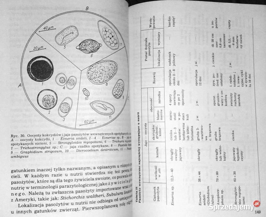 Choroby nutrii Witold Scheuring Rok wydania 1989 Chełm