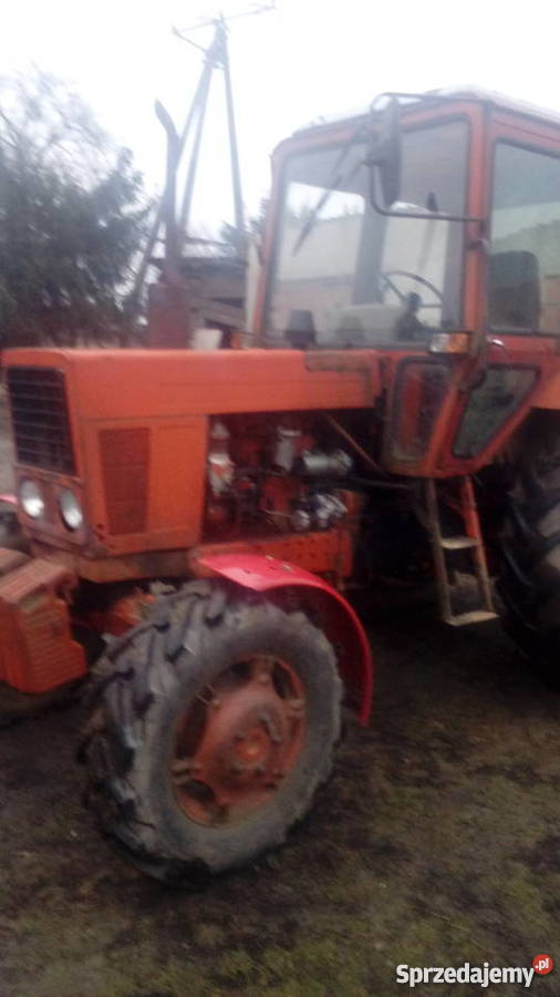 Sprzedam MTZ 82 Ciągniki Więckowo