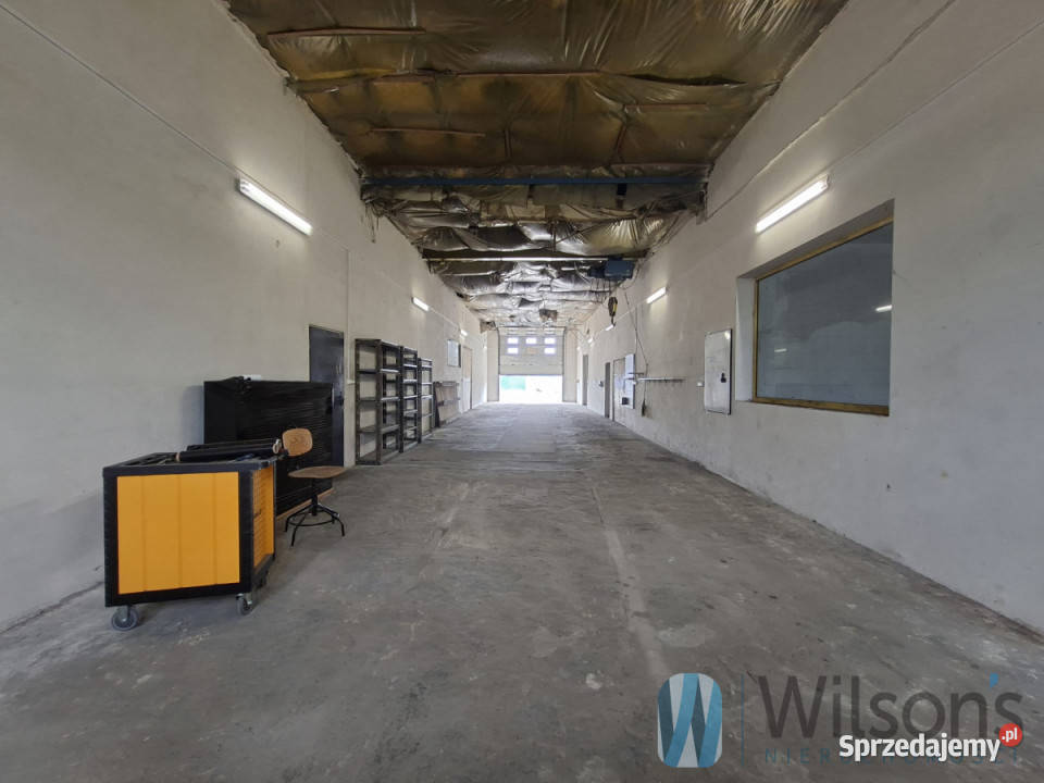Lokal Lesznowola Słoneczna 690m2