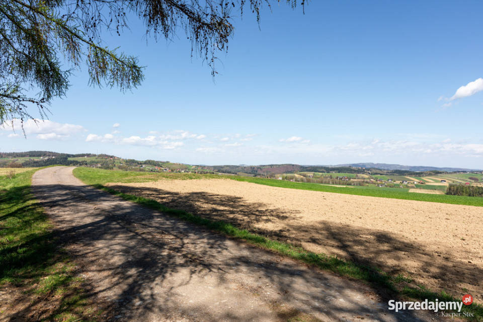 Na sprzedaż pastwisko zalesione w Jastrzębi Jastrzębia