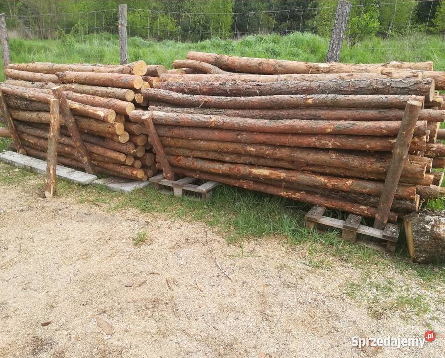 Słupki sosnowe Żerdzie Ogrodzenie z siatki Zielona Góra sprzedam
