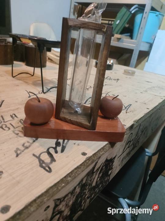 Szklane Terrarium Z Probówkami Terrarium Roślin małopolskie Łężkowice sprzedam