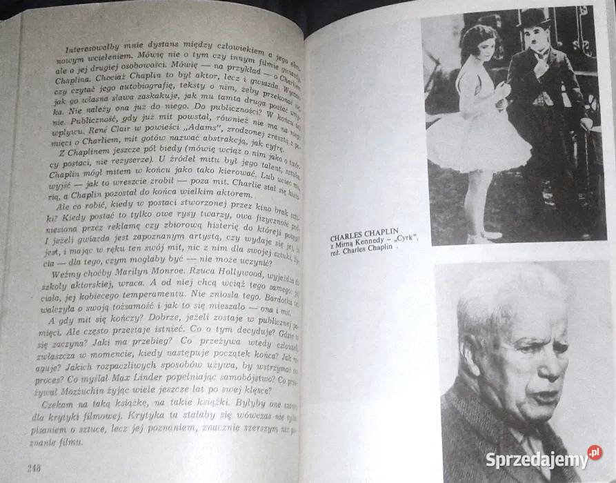 Gwiazdozbiór Aleksander Jackiewicz