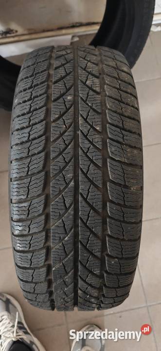 Opony zimowe Paxaro inverno 24545 R18 Świebodzin