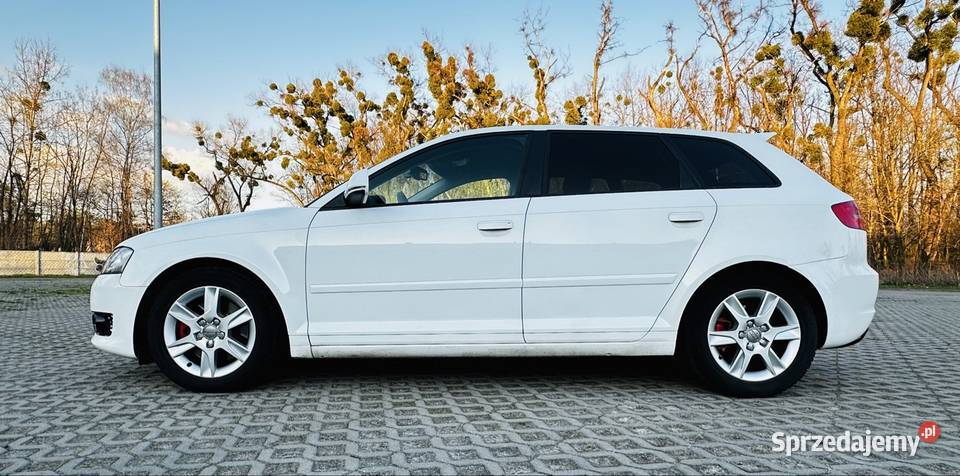 Audi A3 8P 20 TDI 170 QUATTRO manualna sprzedam