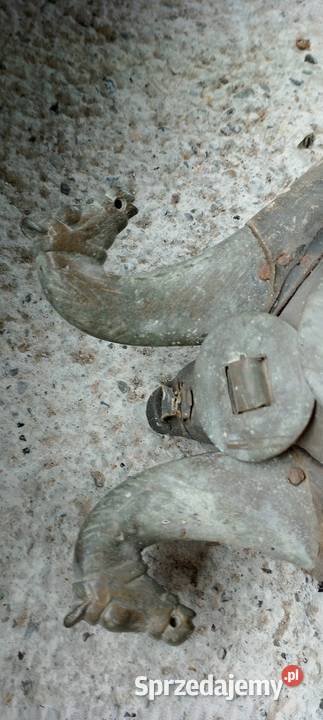 Chomonto na foto kolekcjonerowi