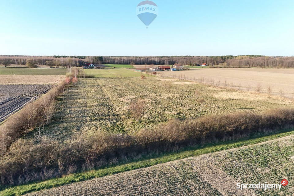 Ponad hektar przestrzeni 40 minut Warszawy