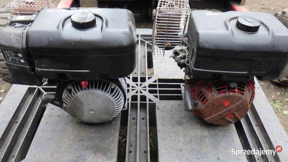 Silnik Komercyjny Lombardini ACME Motori Boczny Dębica
