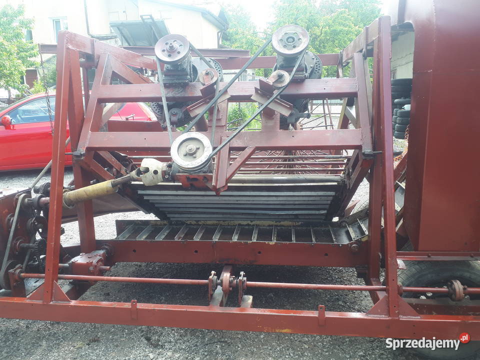 kombajn porzeczkowy Kraśnik