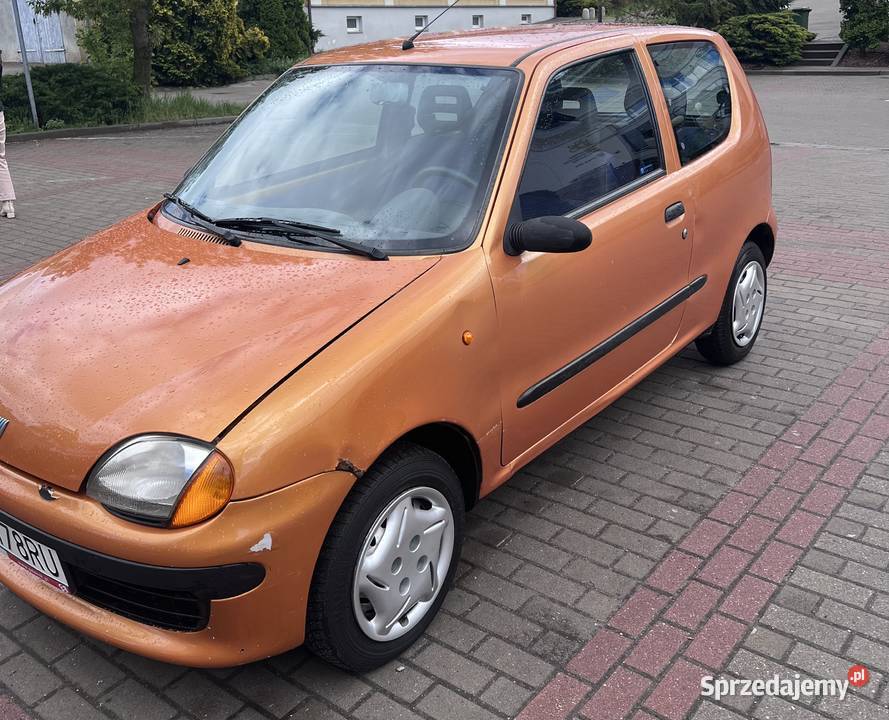 Fiat Seicento Seicento pomorskie Kwidzyn