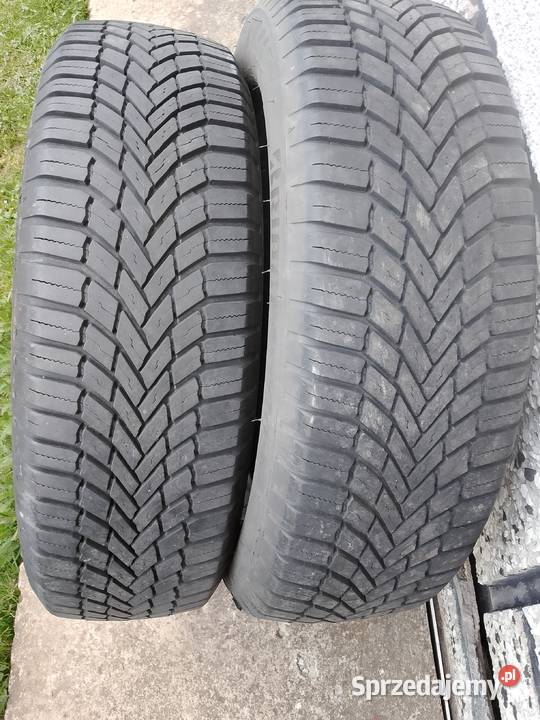 175 65 15 bridgcstone wielosezonowe