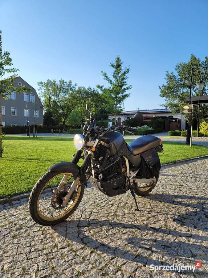 Transalp 600 1997 custom scrambler Wrocław