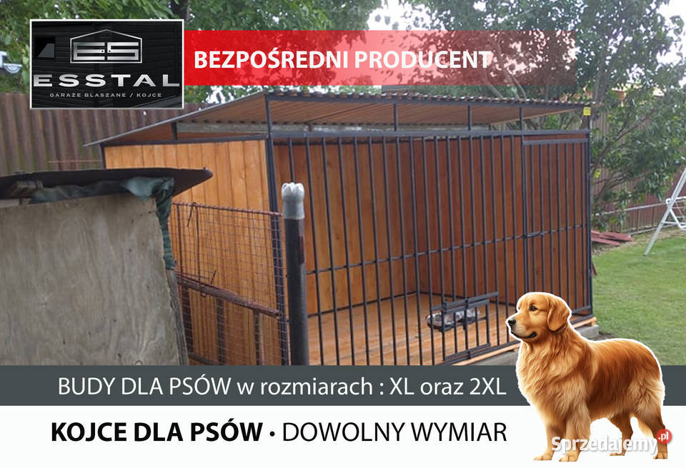 Kojec Psa KOJCE Psów Klatka Box Zadaszenie Wysokie Mazowieckie