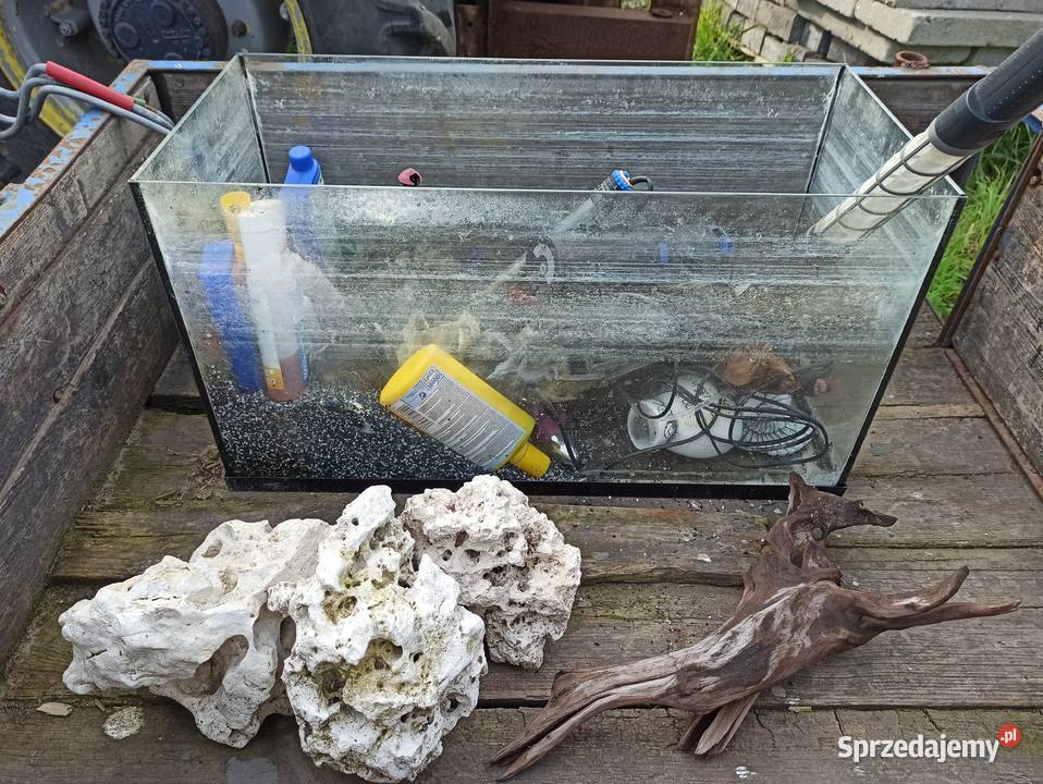 Akwarium z wyposażeniem