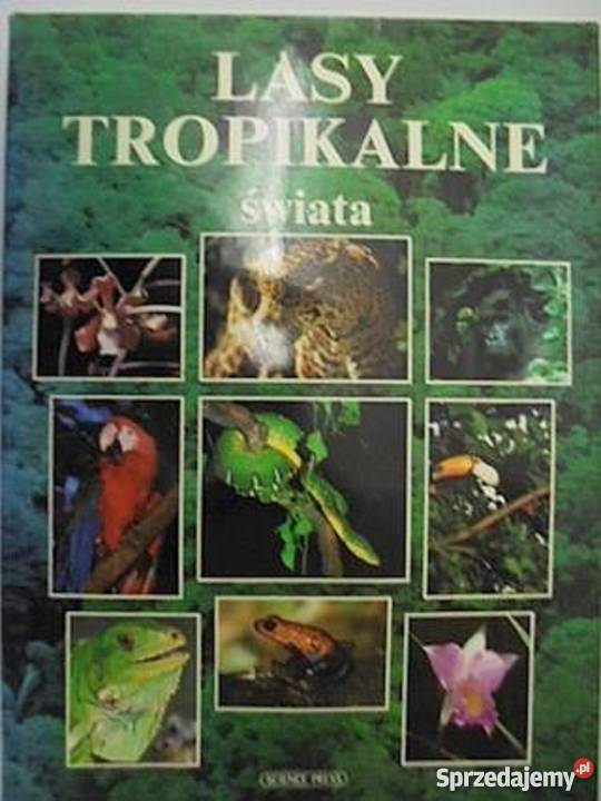 Lasy tropikalne świata fa