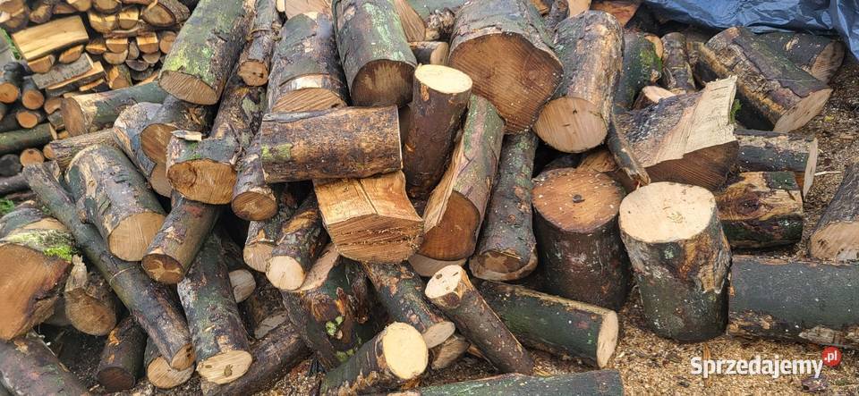 Wynmina na wszelki ZłOM Drewno Opałowe kujawsko-pomorskie