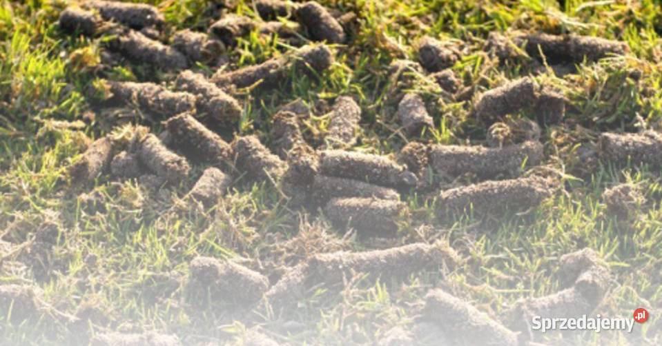 AERATOR RURKOWY RĘCZNY 36 KOLCE WIDŁY Rzeszów
