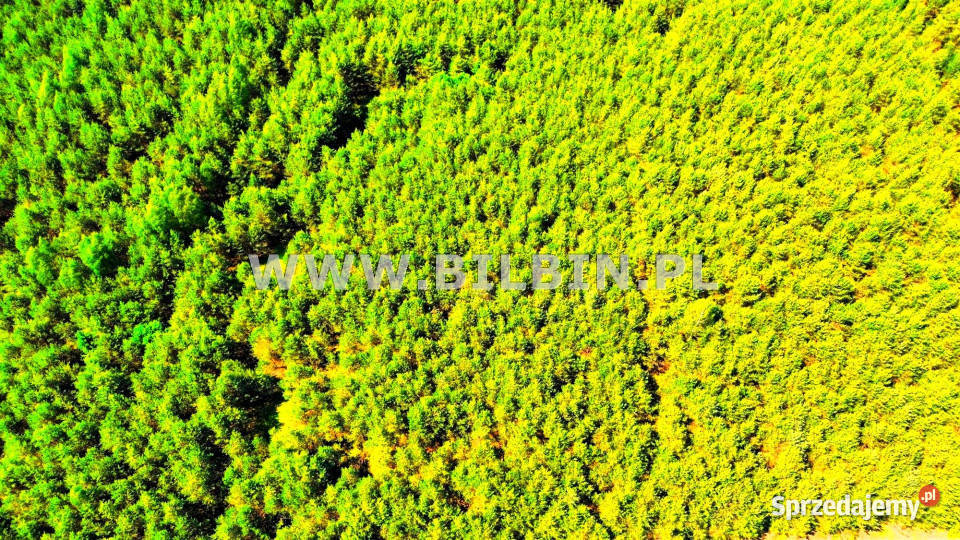 Grunt 41344m2 Suwałki sprzedam