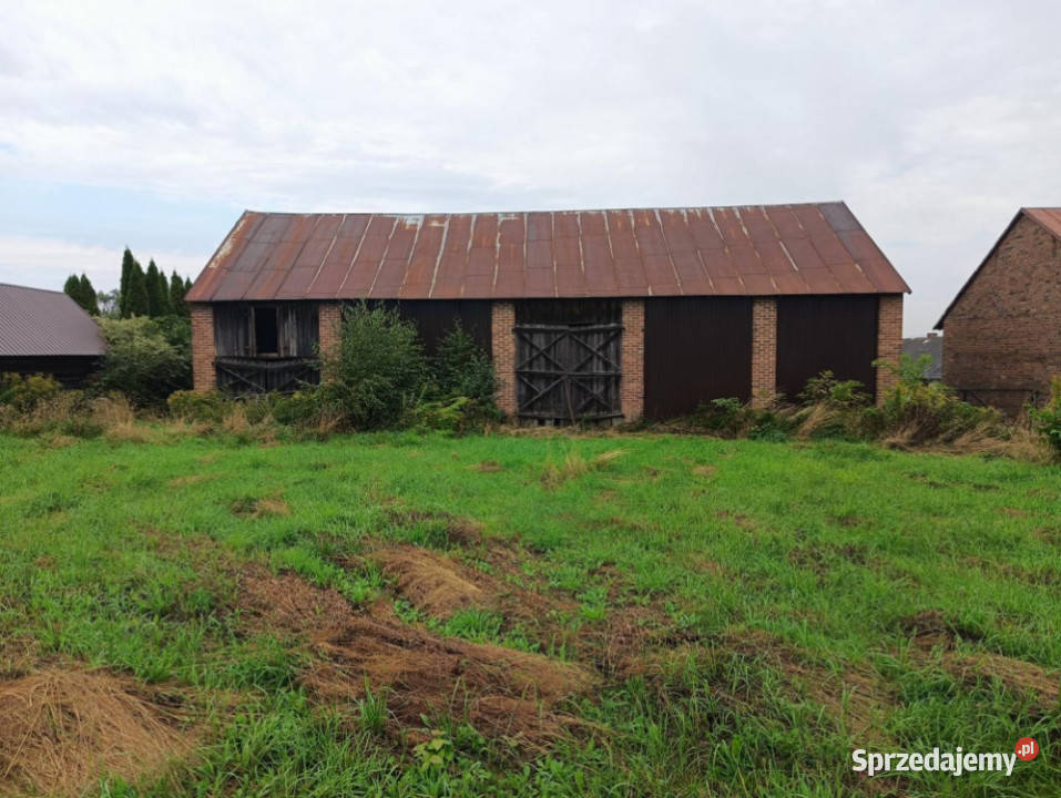 Nieruchomość gruntowa z zabudową Wierzchowiska 1zł/m2 lubelskie Wierzchowiska Pierwsze