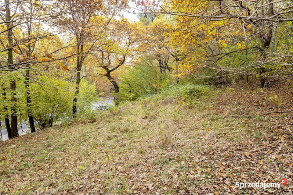 Działka rolna 393 m w Oczkowie jeziora asfalt Żywiec