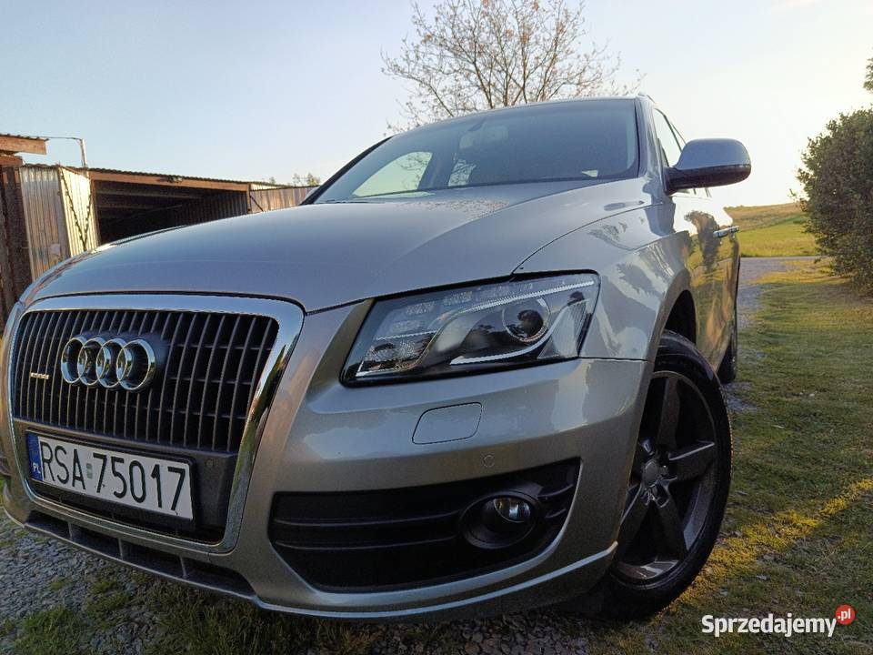 Audi Q5 Pielnia