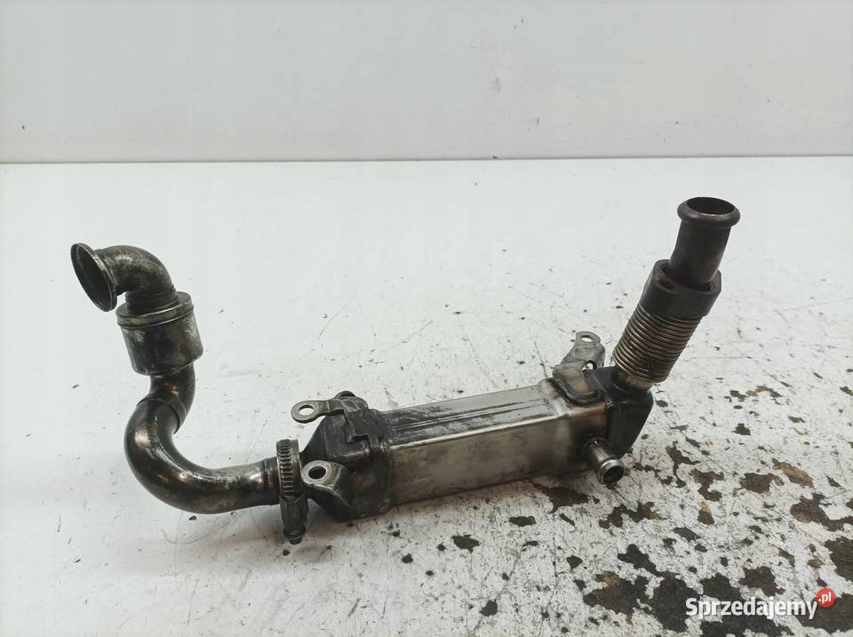 CHŁODNICA SPALIN 30 M57 Bmw X3 I 20032010 E83 osobowe Recyrkulacja spalin EGR sprzedam