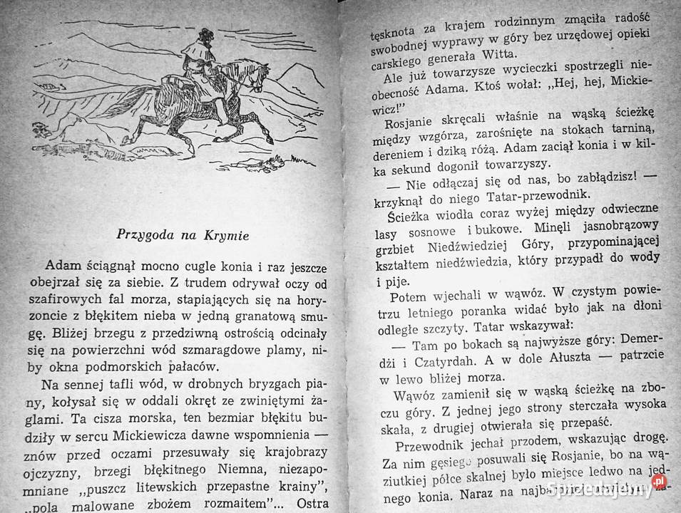 Śladami poety Opowiadania o Adamie Mickiewiczu Rok wydania 1969 Chełm