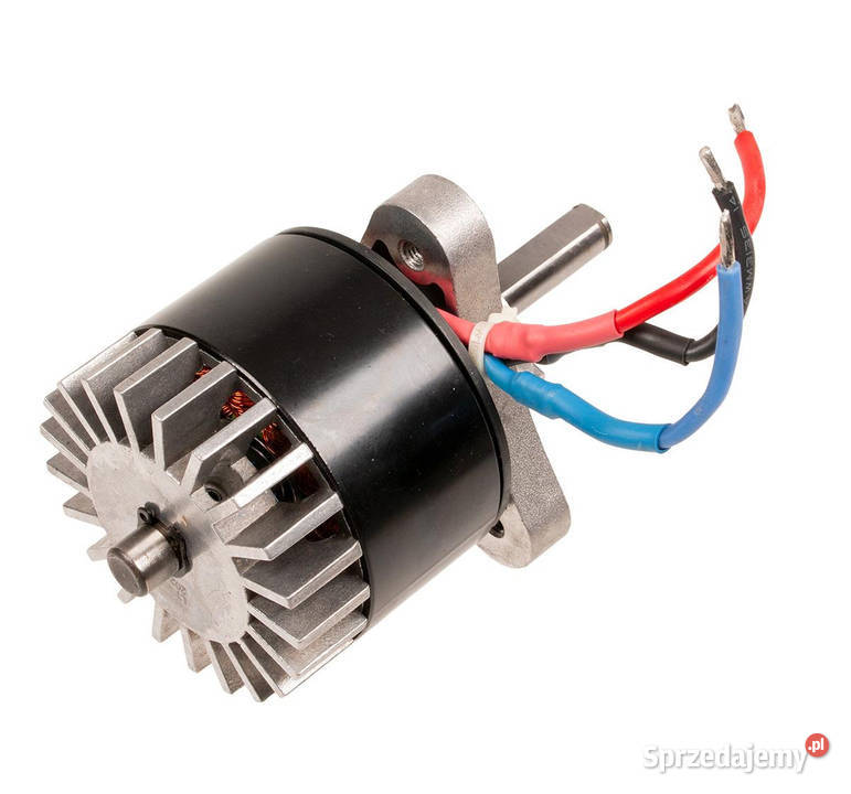 Silnik elektryczny Cedrus Pilarka akumulatorowa wielkopolskie Opalenica