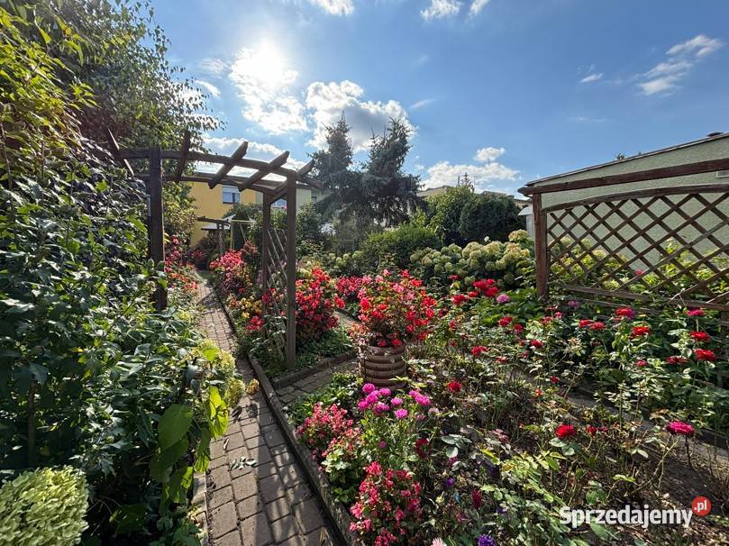 Dom z ogrodem 1 469 m w centrum Ostrowi 1469m2 Ostrów Mazowiecka