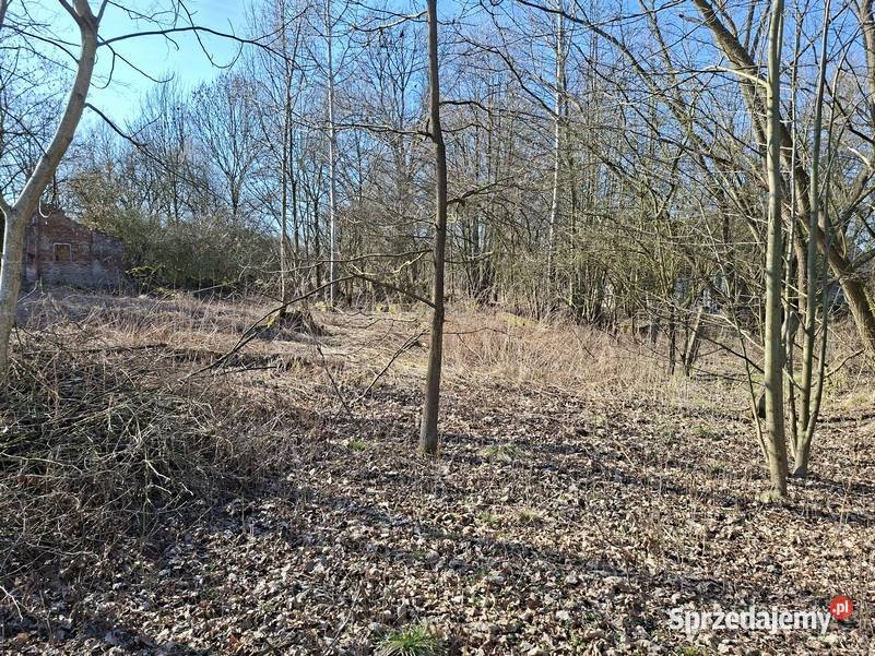 Facimiech gm Skawina działka budowlana 954 m2 954m2 małopolskie