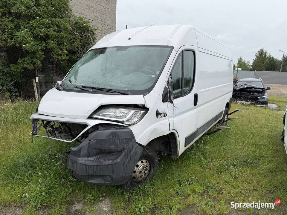 FIAT DUCATO Bus Dostawczy Furgon 2016r 189 2287cm3 opolskie Prudnik sprzedam