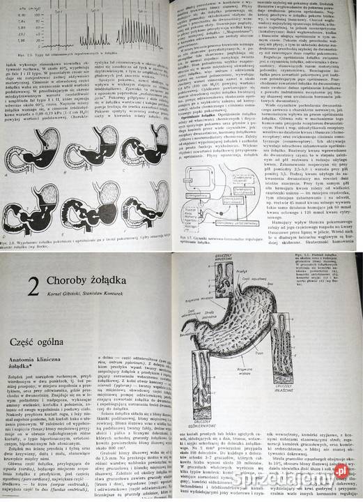 Nauka o chorobach wewnętrznych Tom 6 Witold Rok wydania 1989 Chełm