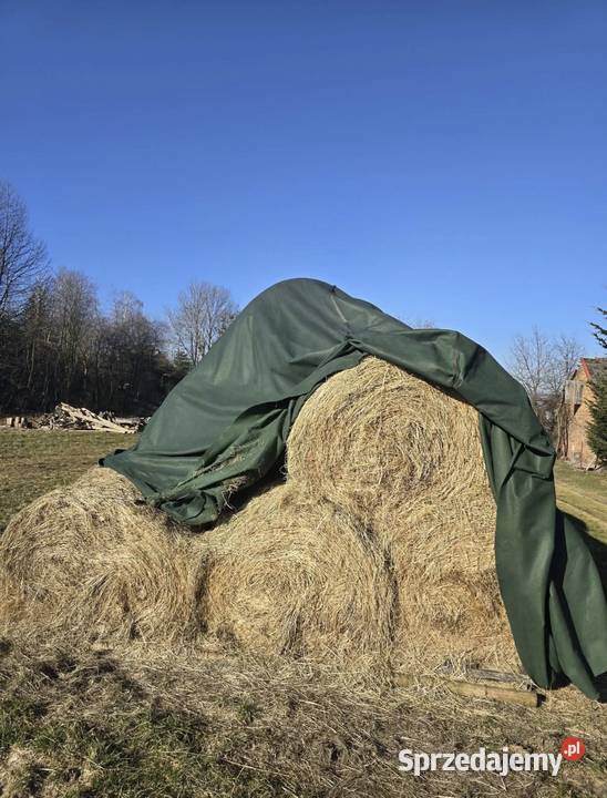 Sprzedam bale siana 60 Mołodycz Wola Roźwienicka