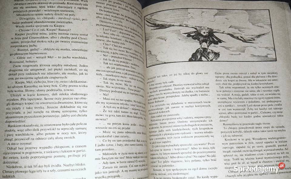 Muszkieterowie znad Wisły Janusz Rychlewski miękka Pozostałe Chełm